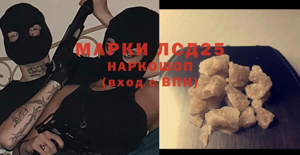прущие грибы Кулебаки