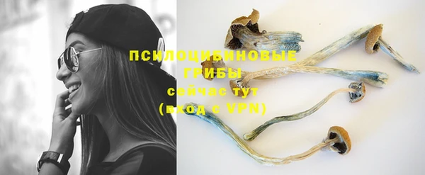 PSILOCYBIN Лабытнанги