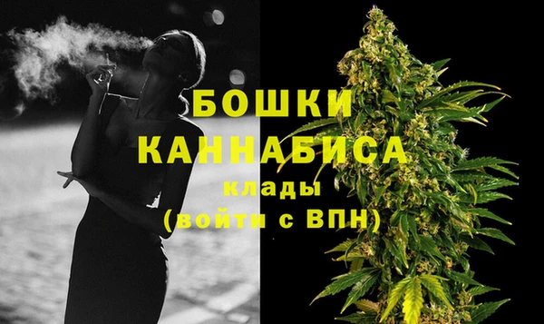 прущие грибы Кулебаки