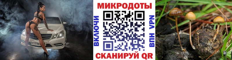 Купить где  Берёзовский  Псилоцибиновые грибы GOLDEN TEACHER 